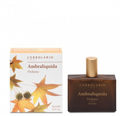 Ambraliquida Parfum